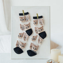 Mesh Cat Socks