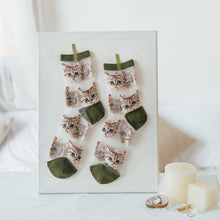 Mesh Cat Socks